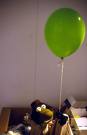 Le Vert, l'autre...