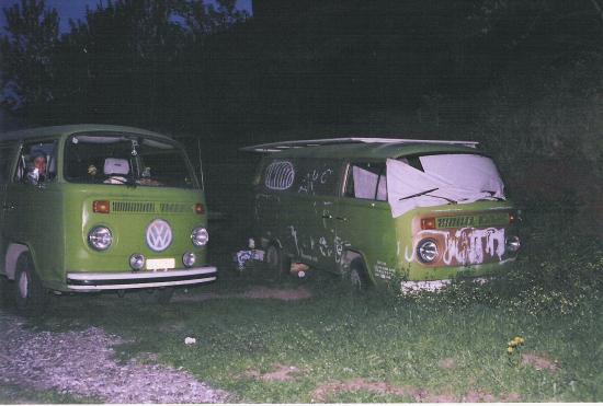 le vieux clone, Grèce, 2005