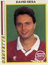 1994-95-david-sesa-small.jpg