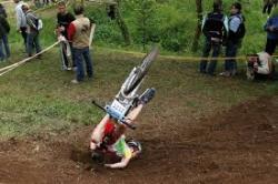 Images 281