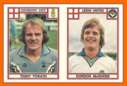 terry-yorath-et-gordon-mc-queen.png